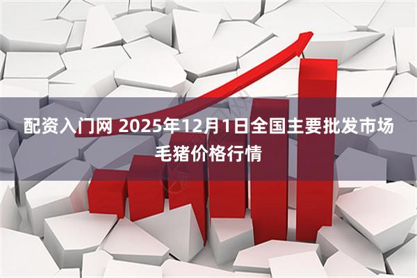 配资入门网 2025年12月1日全国主要批发市场毛猪价格行情